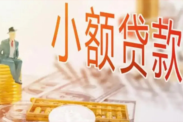 成都民急私人身份证借私借-成都民急个人上门小额贷款-成都民急短借公证